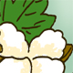 8.25�@�I�[�K�j�b�N�R�b�g��